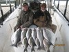 (01/18/2017) - Nice Striped Bass
